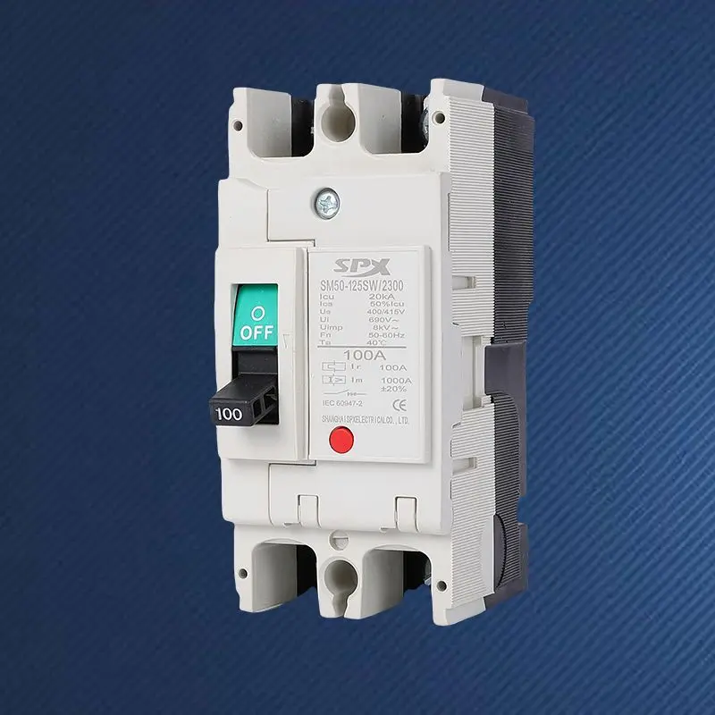 Bộ ngắt mạch vỏ đúc AC 2 cực 125A