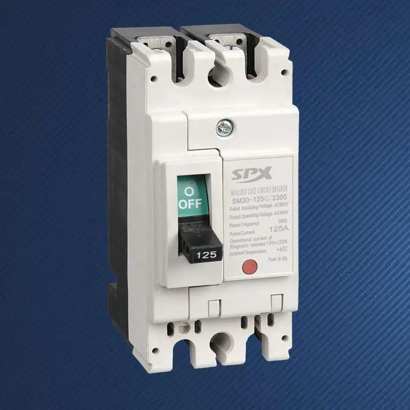 Bộ ngắt mạch vỏ đúc 2P 125A
